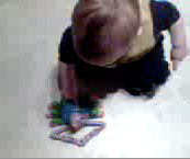 bug toy